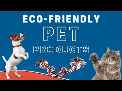Top Eco-Friendly Pet Products of 2022