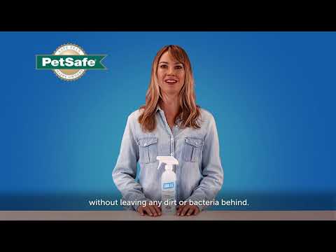 Natural and Safe Way to Clean Up After Your Pet